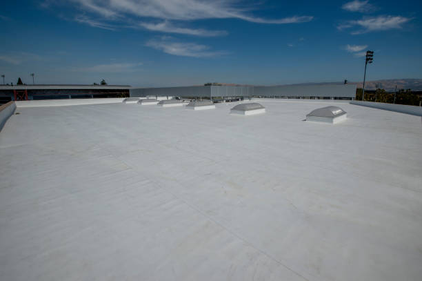 Best Roof Insulation Installation  in University Park, IL