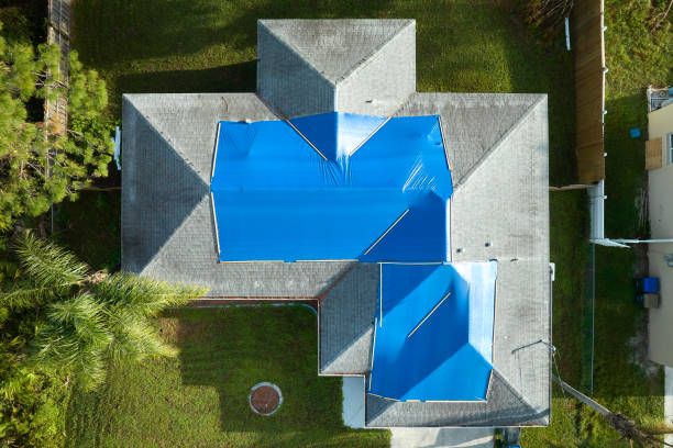 Best Roof Coating and Sealing  in University Park, IL