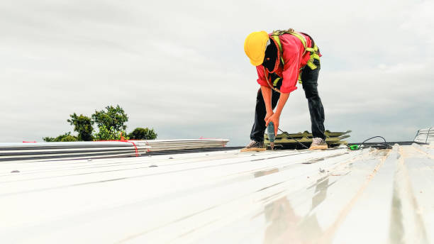 Best 4 Ply Roofing  in University Park, IL