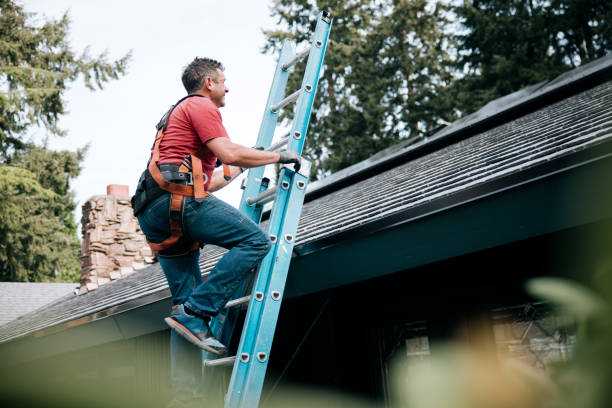 Best Roof Maintenance and Cleaning  in University Park, IL