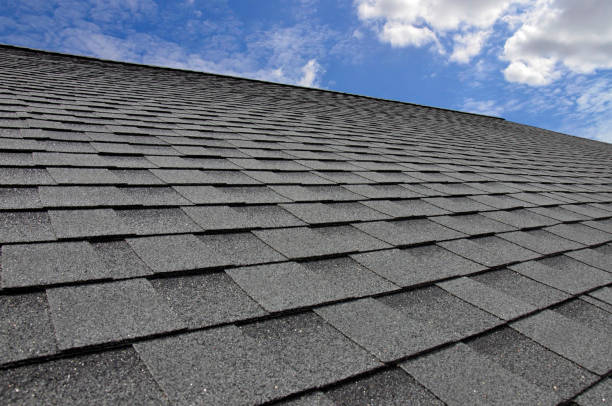 Best Skylight Installation and Repair  in University Park, IL
